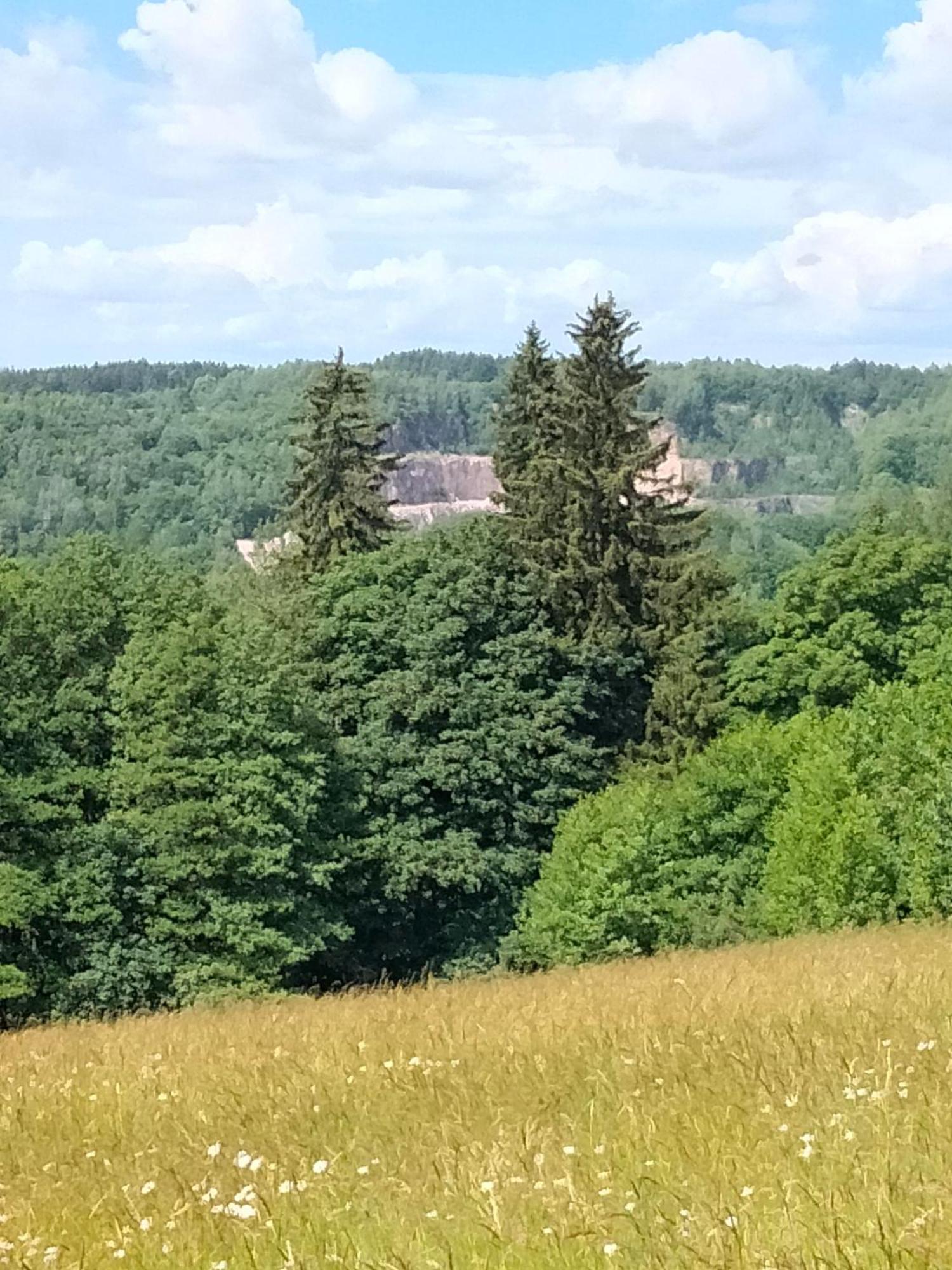Lucni Apartman Tymiana チェルニー・ドゥール エクステリア 写真